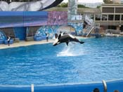 IMG_1916